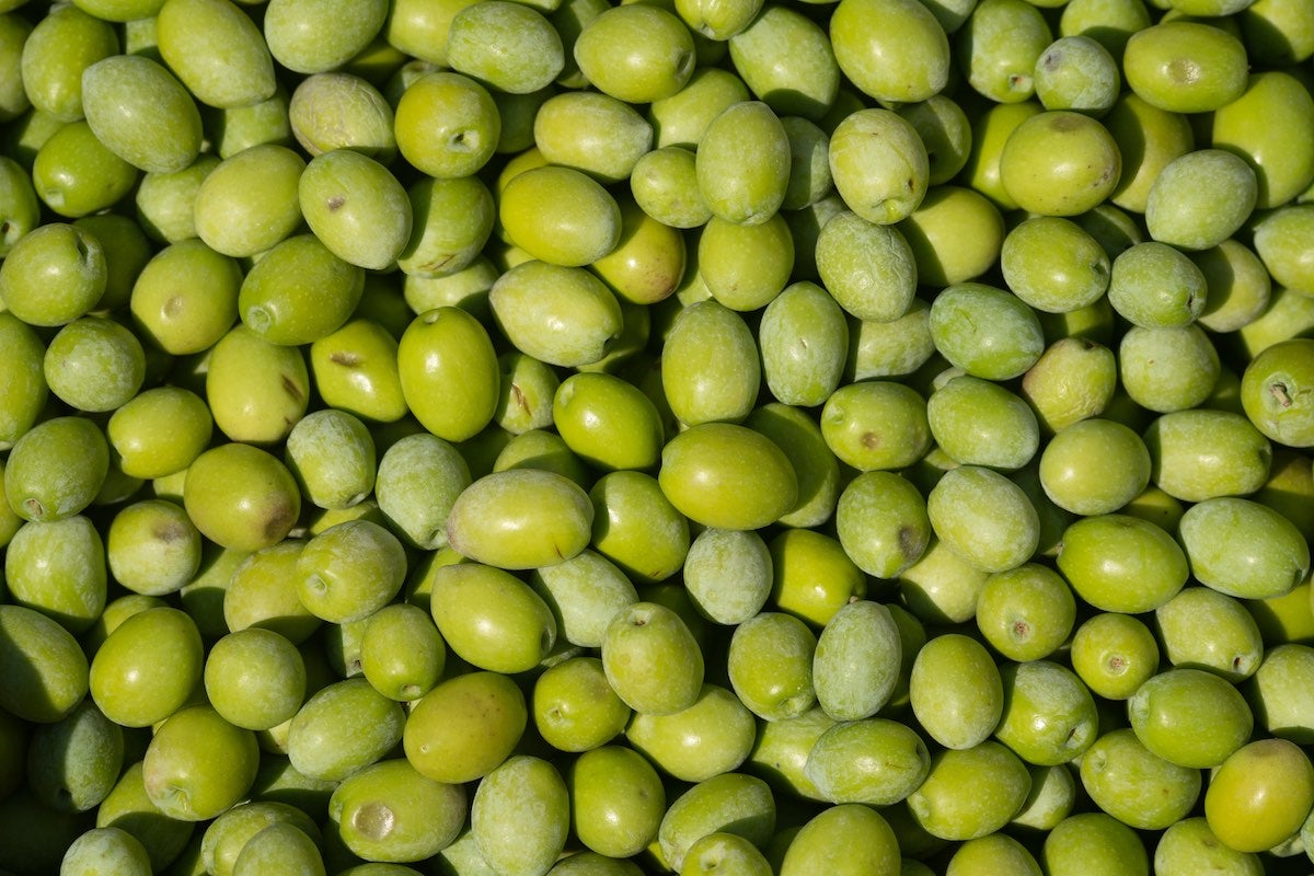 Manzanilla olive variety, oval-shaped olives from Sevilla in Spain