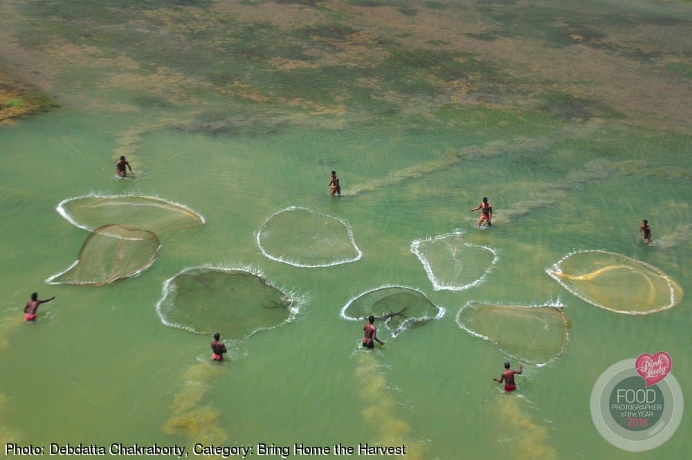 Bring Home the Harvest | 1st Prize: Debdatta Chakraborty