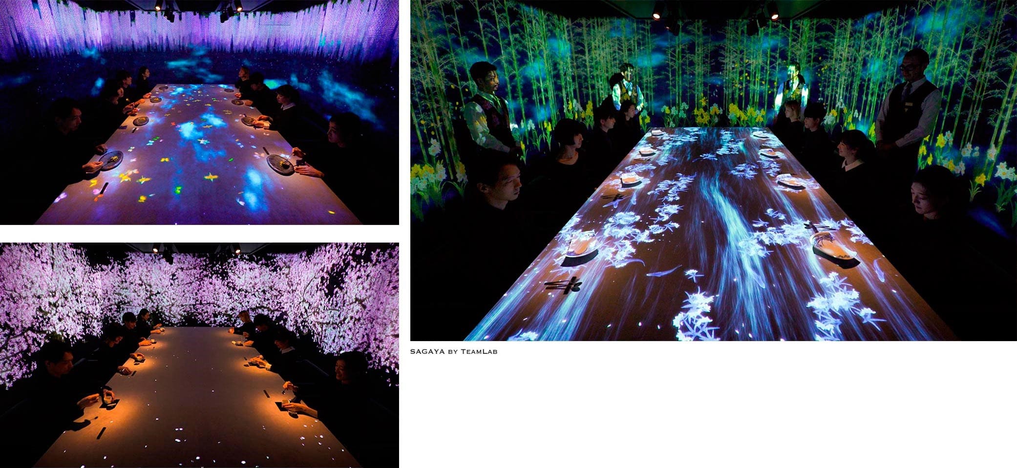 TeamLab's project at Sagaya Restaurant