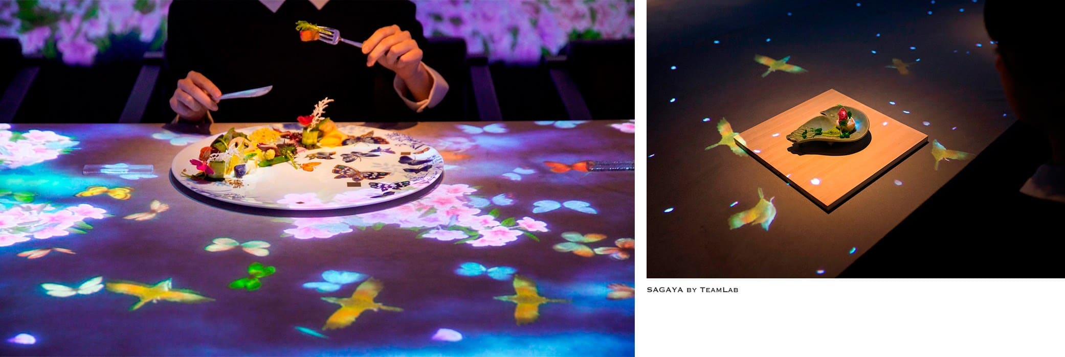 Sagaya Restaurant: TeamLab's project