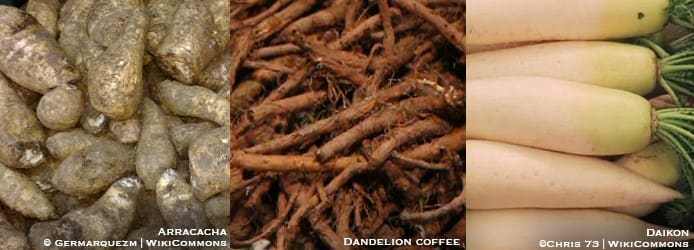 Arracacha root | Dandelion coffee | Daikon