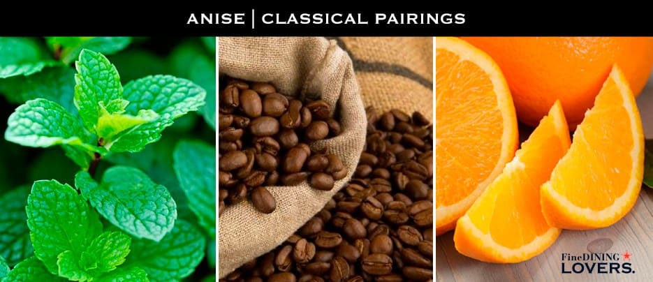 Anise: Classical Pairings