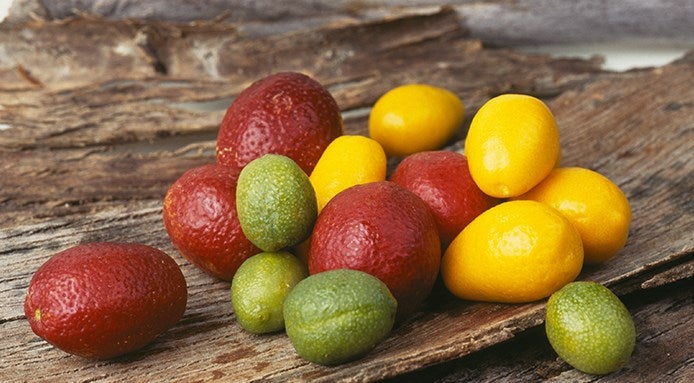 Blood Lime