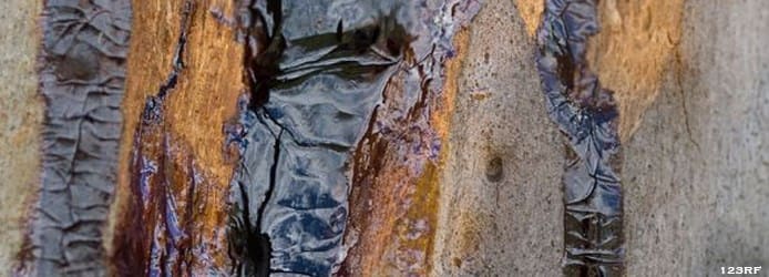 What are Resins | Kino Resin