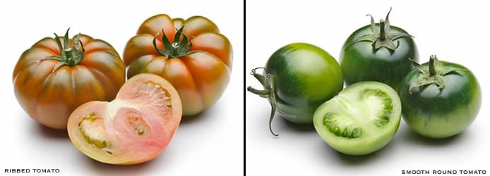 Pachino Ribbed | Smooth Round Tomato