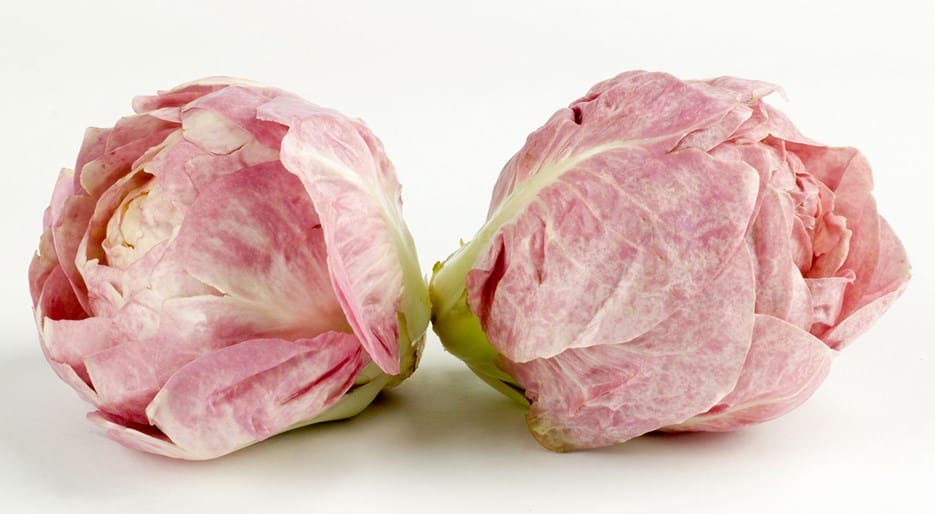 Millennial Pink Food_Pink-Radicchio