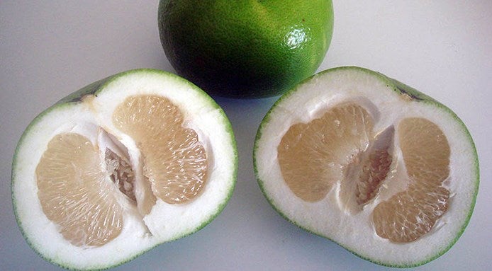Pomelo