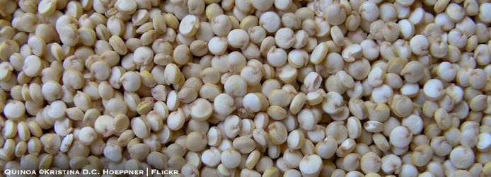 Quinoa