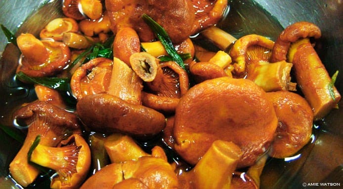 Champagne Vinegar and Tarragon Infused Chanterelles_amie watson