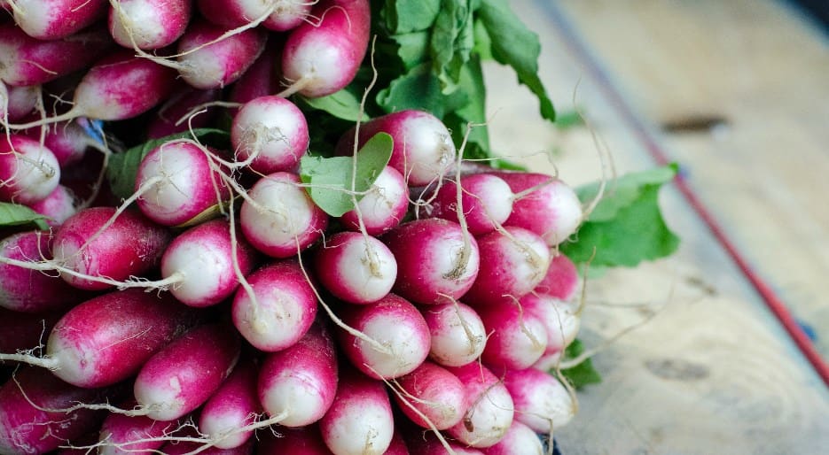 Radishes