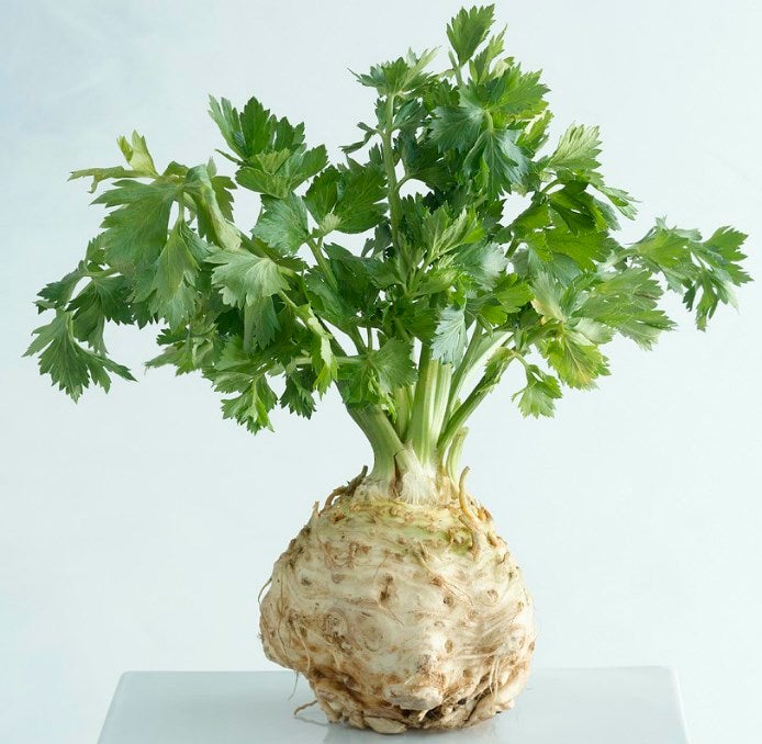 celeriac