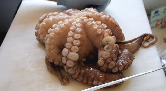 come-pulire-il-polpo