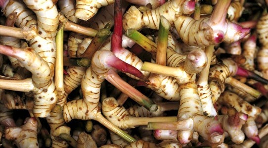 galangal-thai-food