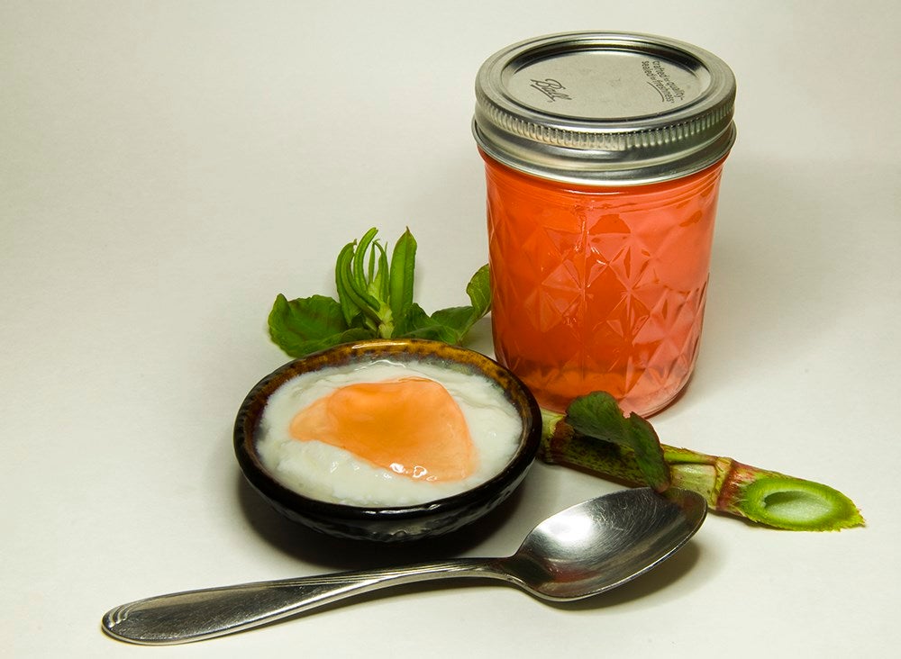 japanese knotweed jelly