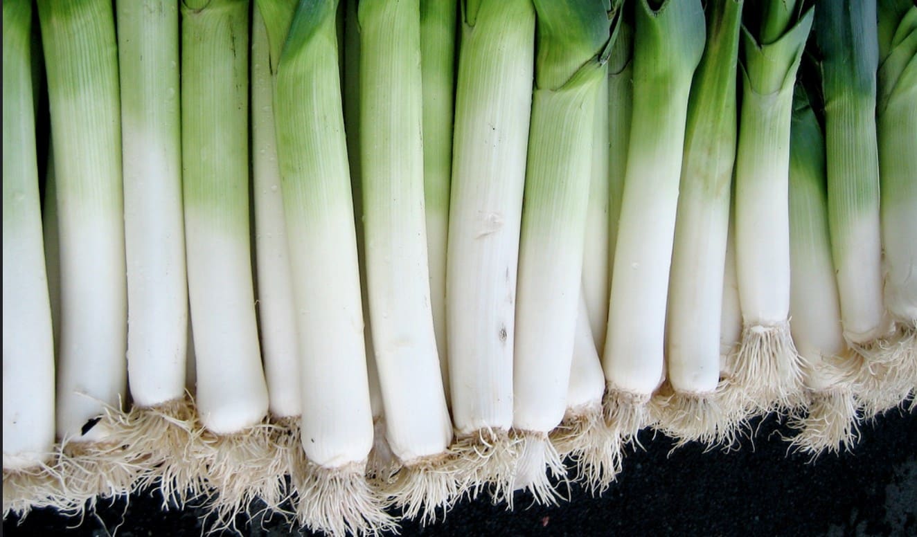 leeks-liz-west