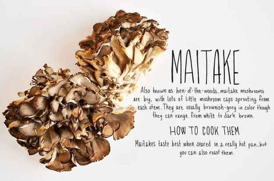mushroom-maitake