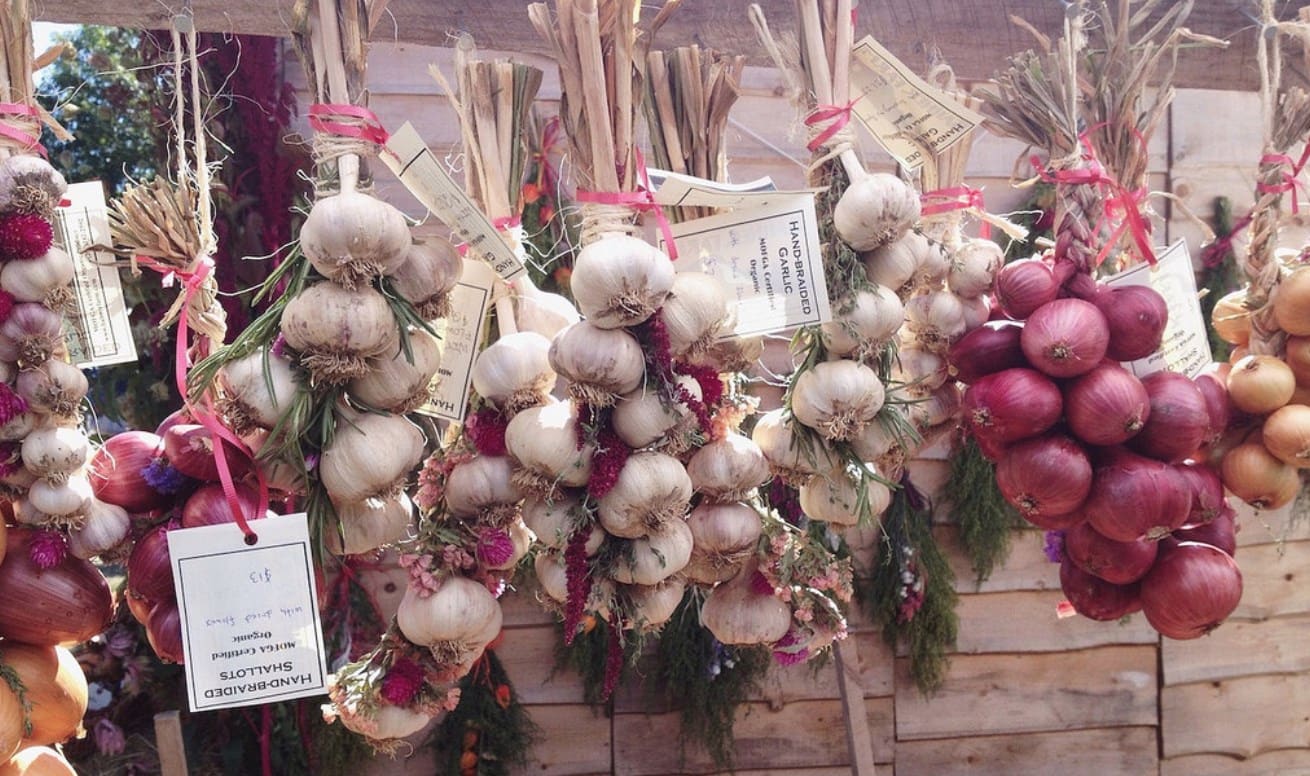 onions-brianne-du-clos