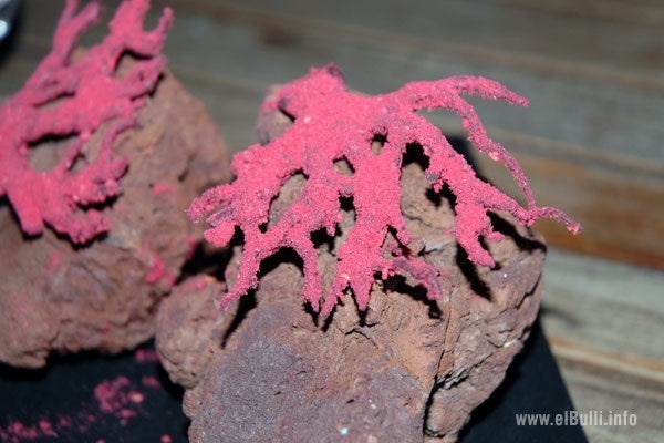 original_el-bulli-cioccolato