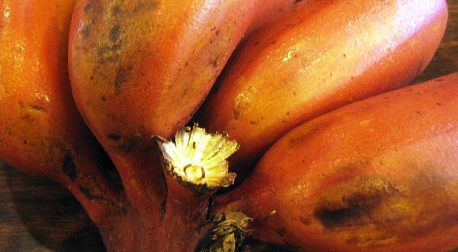 Red Bananas Close-Up