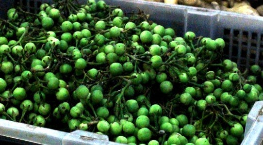 pea-eggplant-thai-food