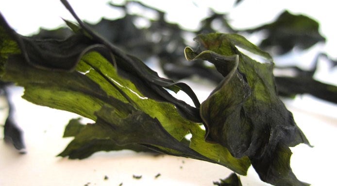 wakame