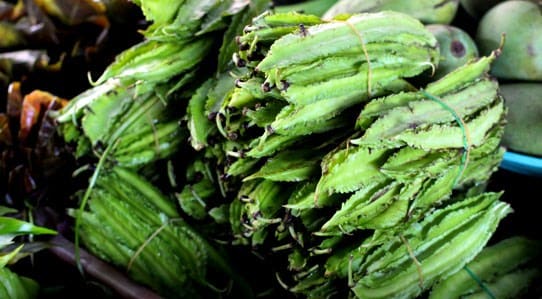 winged-bean-thai-food