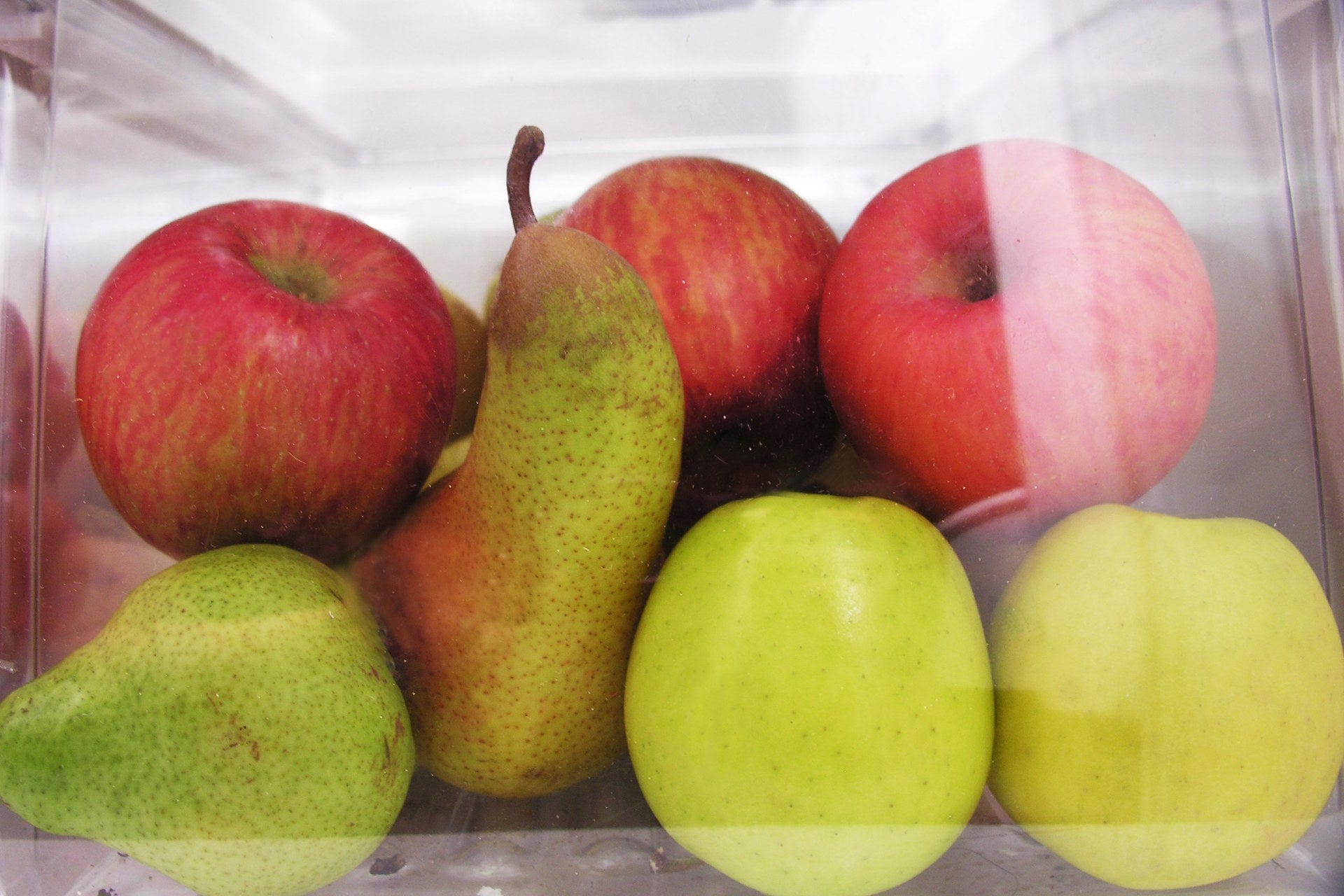 a fridge drawer filled with pears and apples