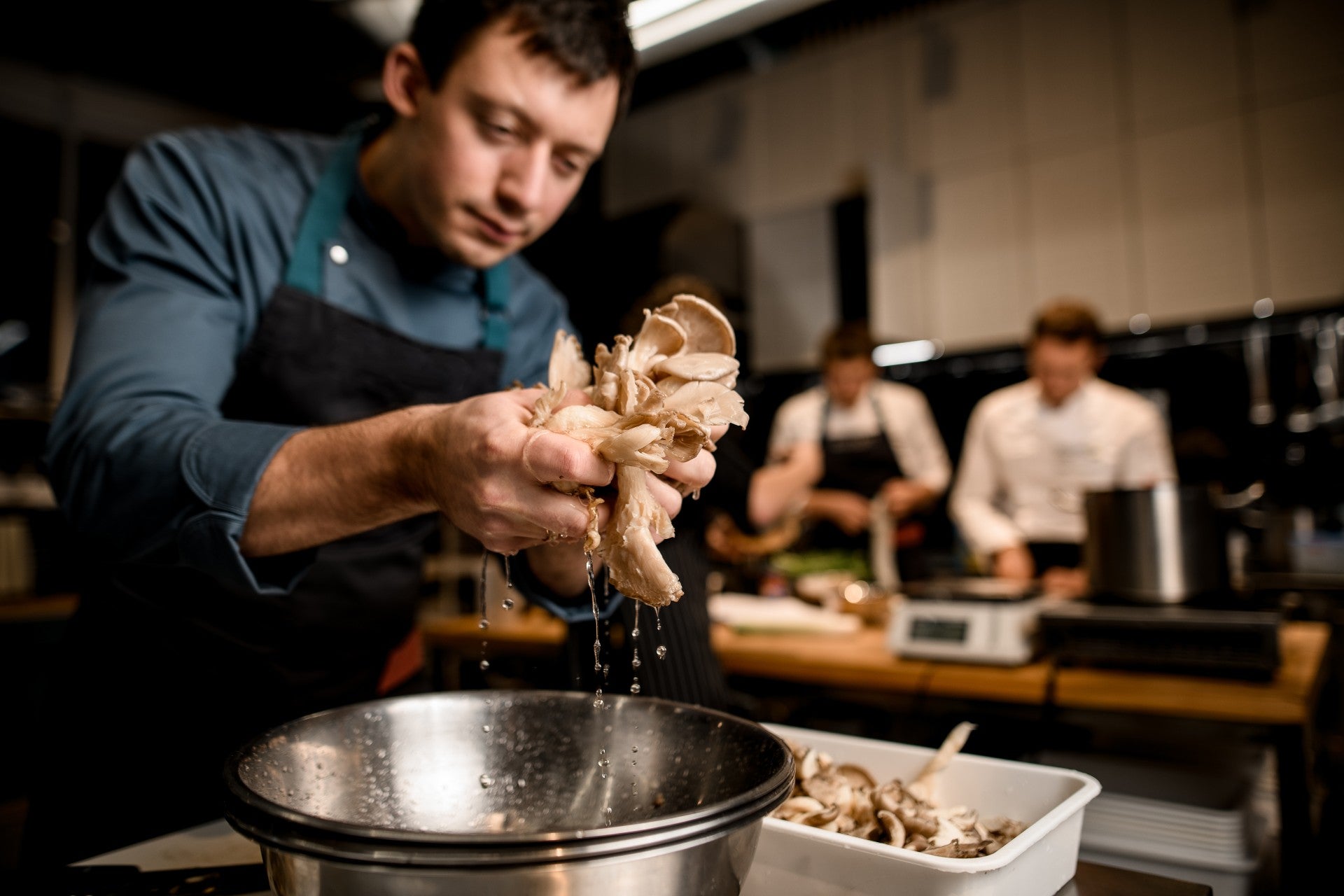 oyster-mushrooms-cook