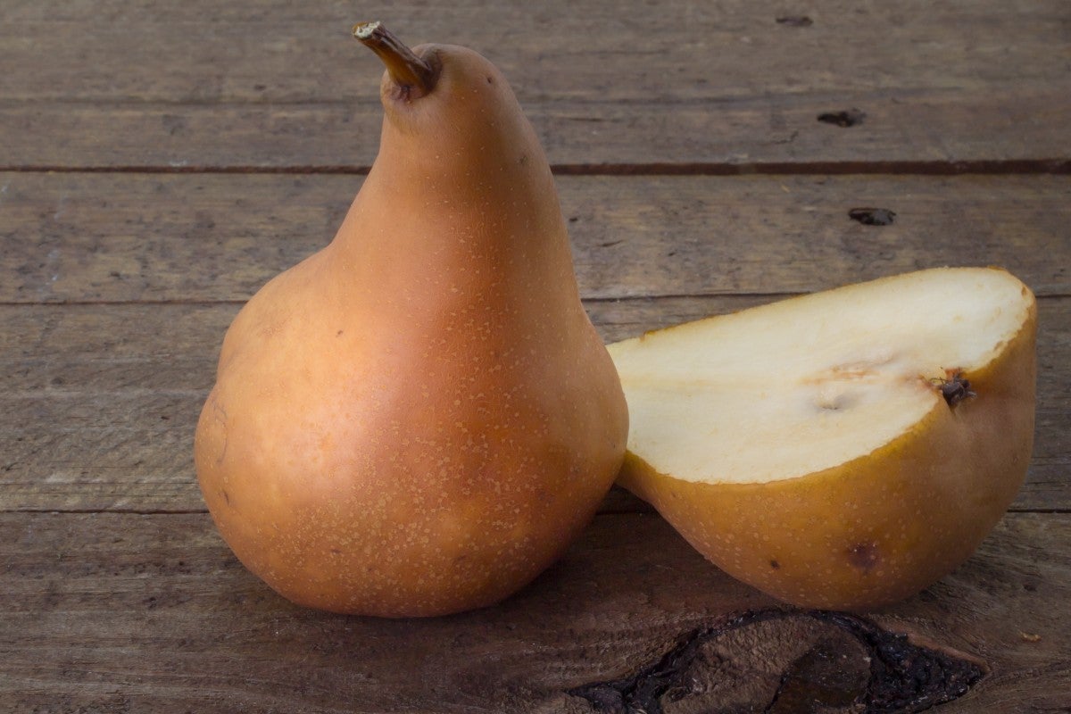 pears-varieties-bosc
