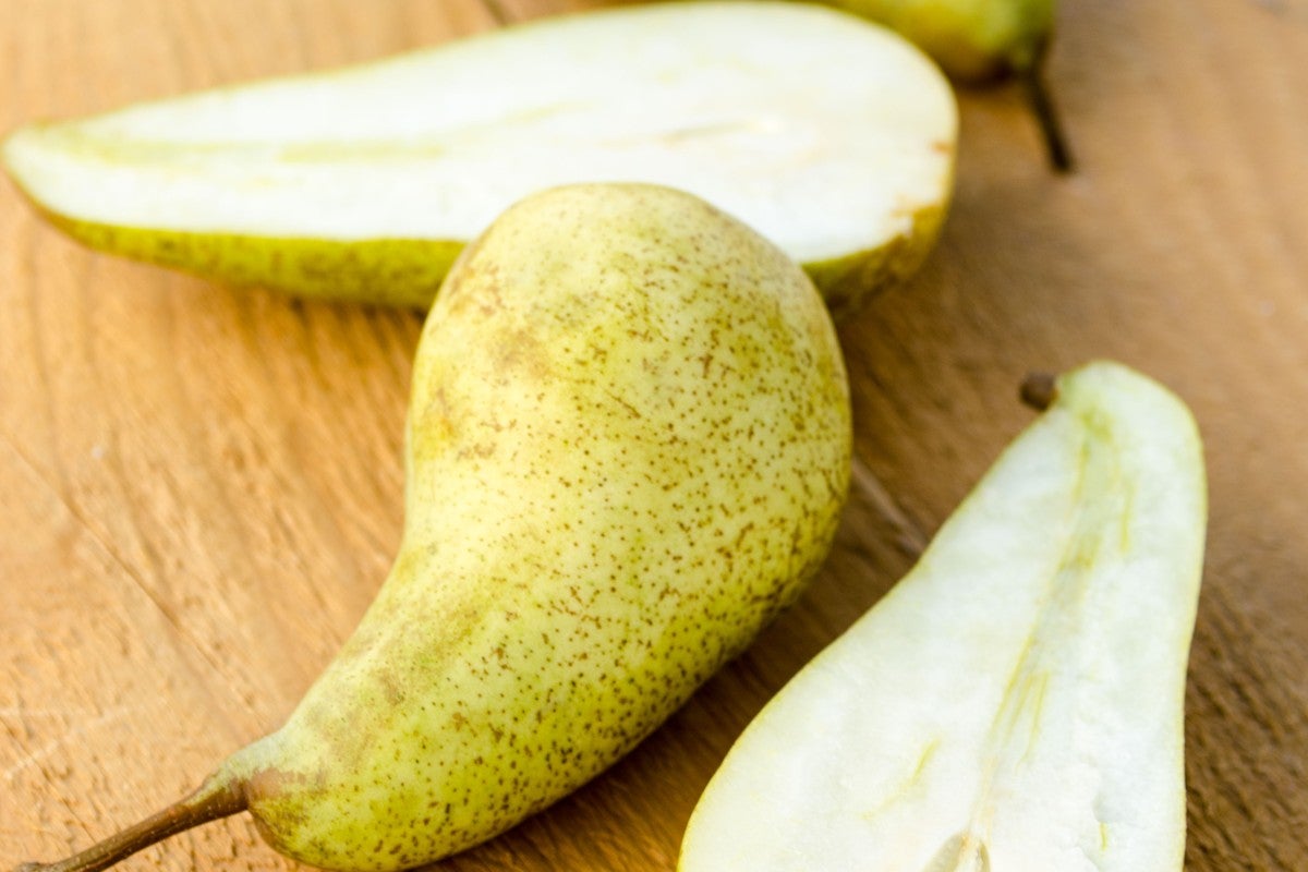 pears-varieties-concorde