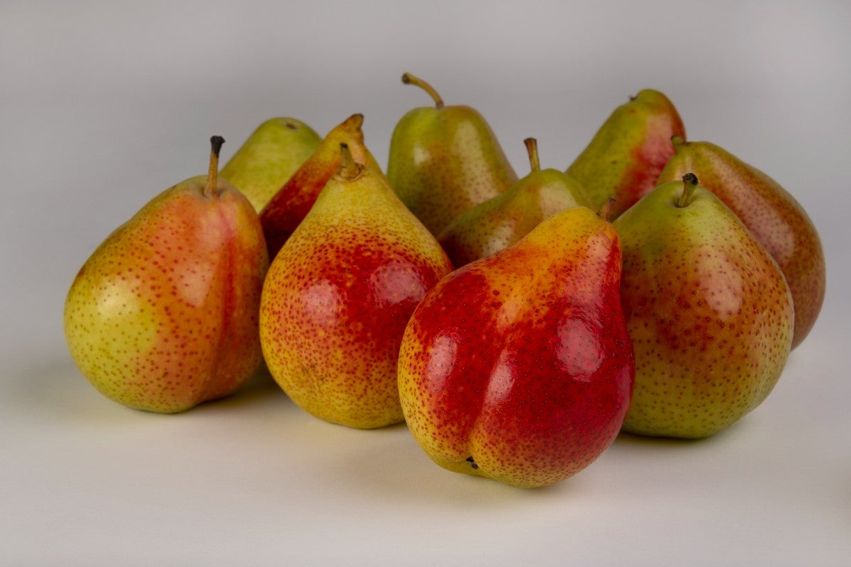 pears-varieties-forelle