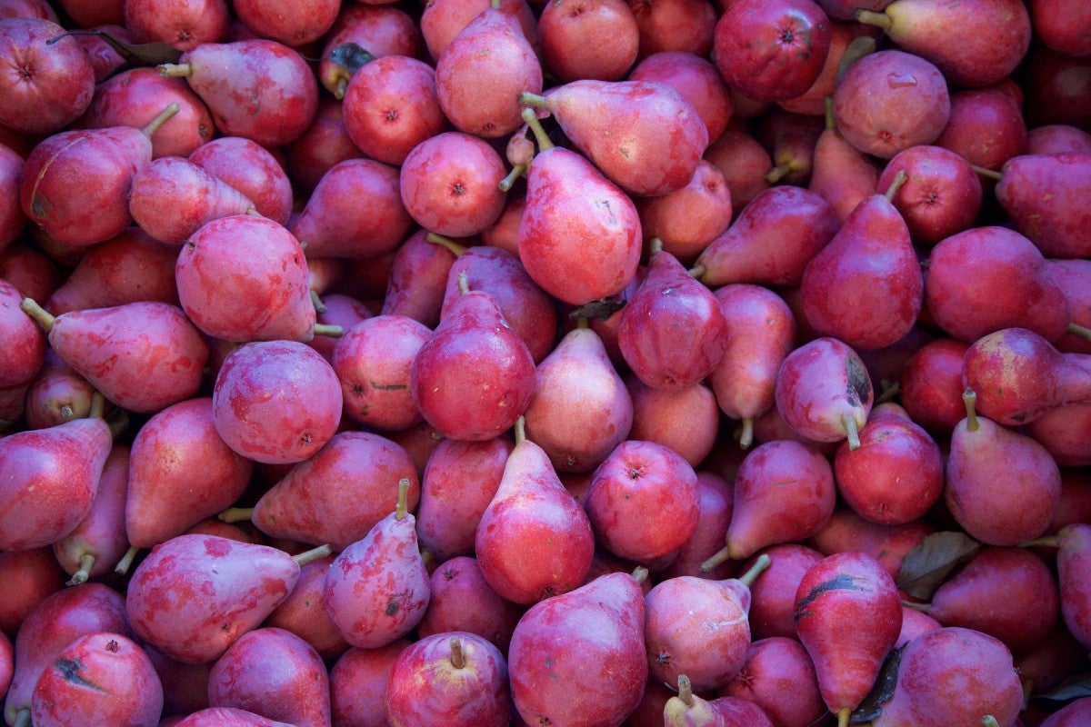 pears-varieties-starkrimson