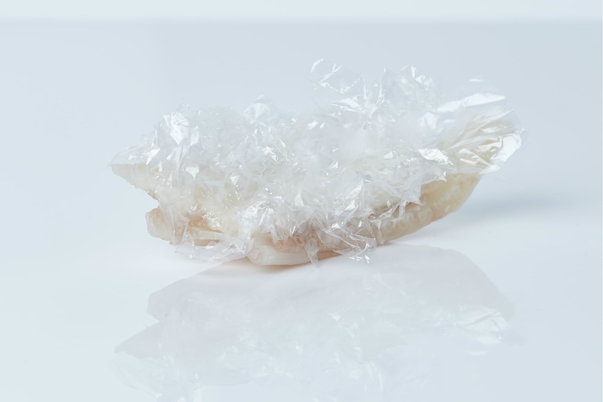 Plastic Fantastic photo by Claes Bech Poulsen