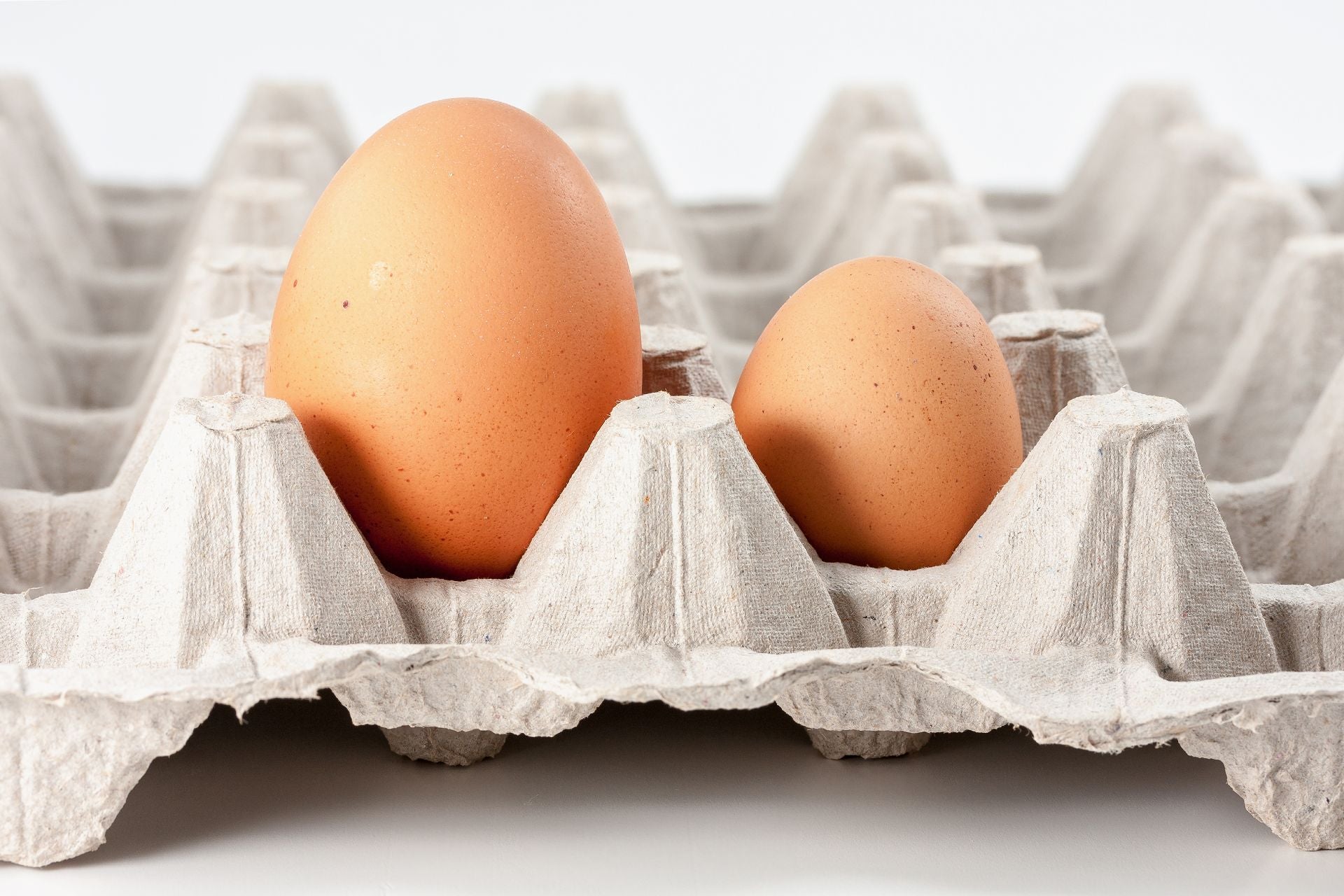 pullet-eggs-vs-regular-eggs