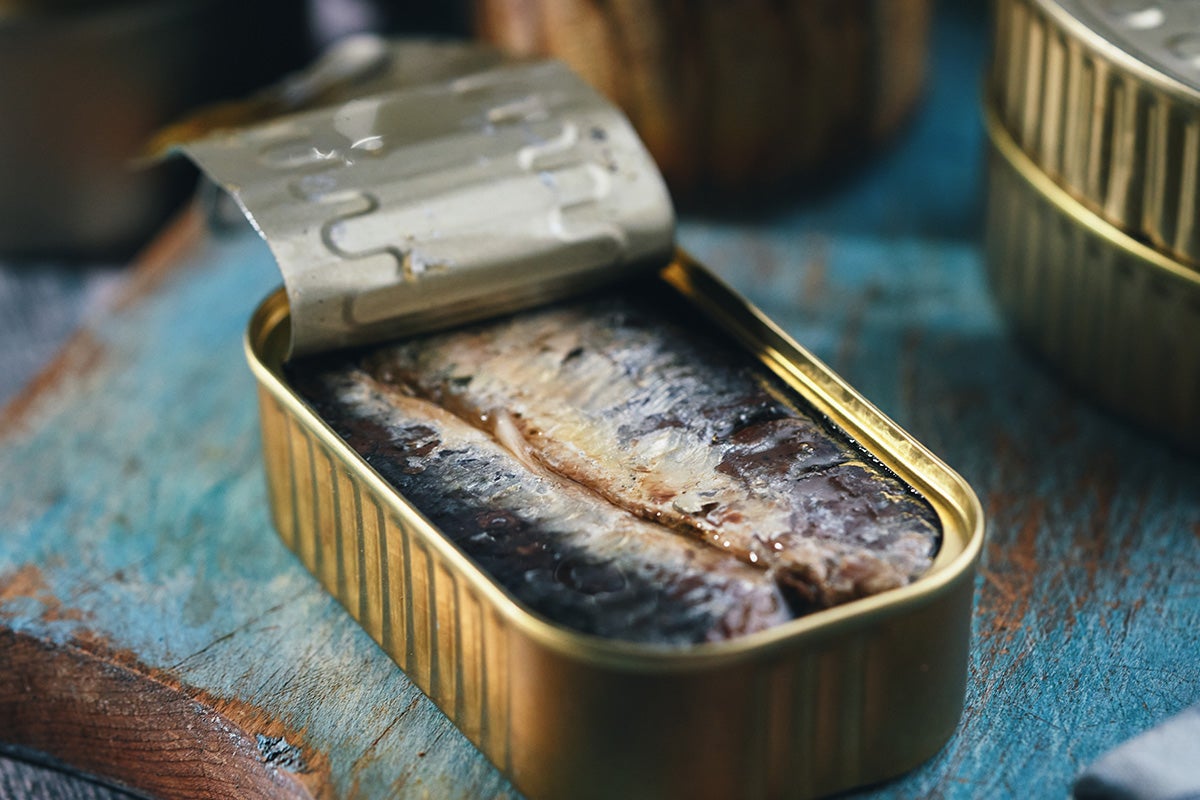 sardines in a can