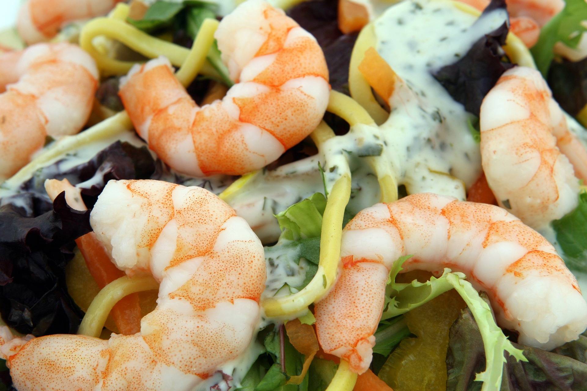 seafood salad - pixabay