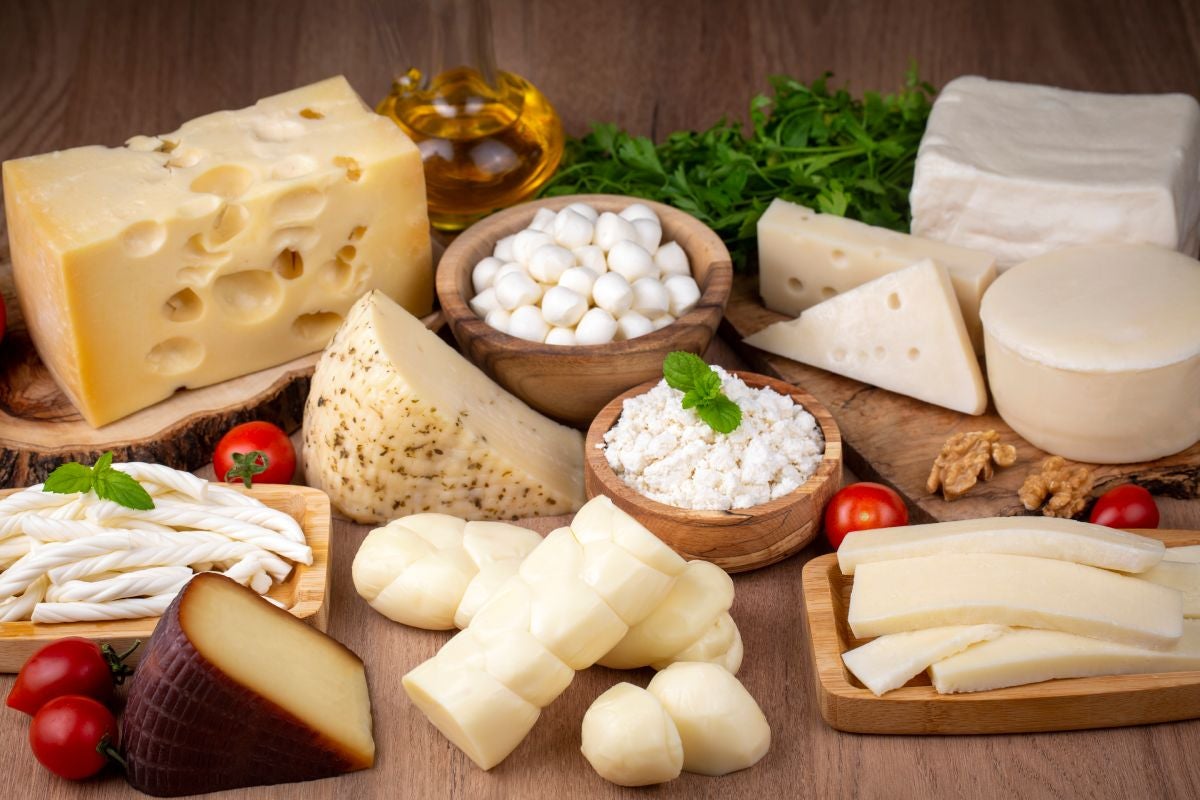 A selection of different types of cheese from all the world