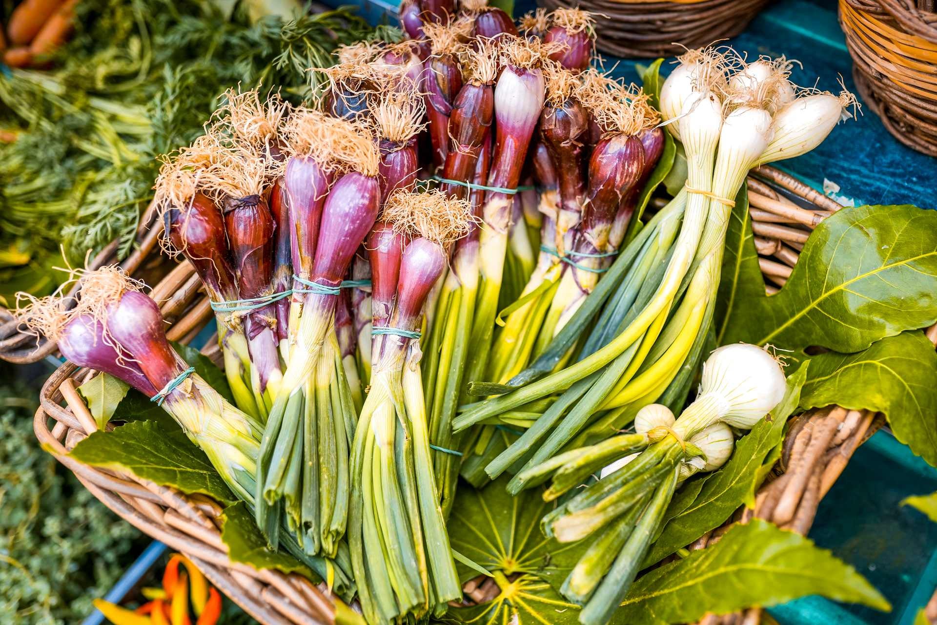 shallots-and-onions-shallots-vs-green-onions