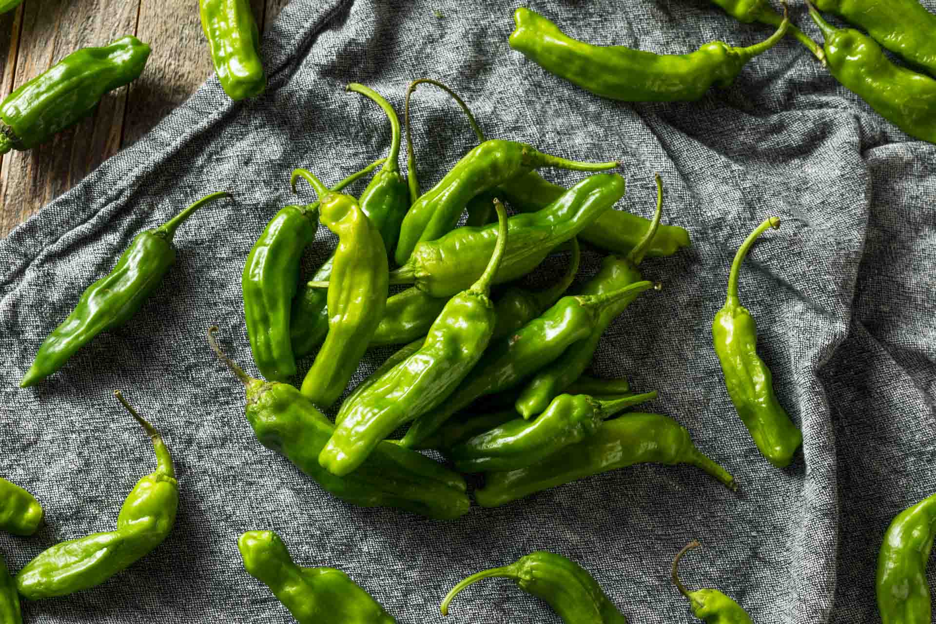 a selection of fresh green shishito peppers on a grey cloth