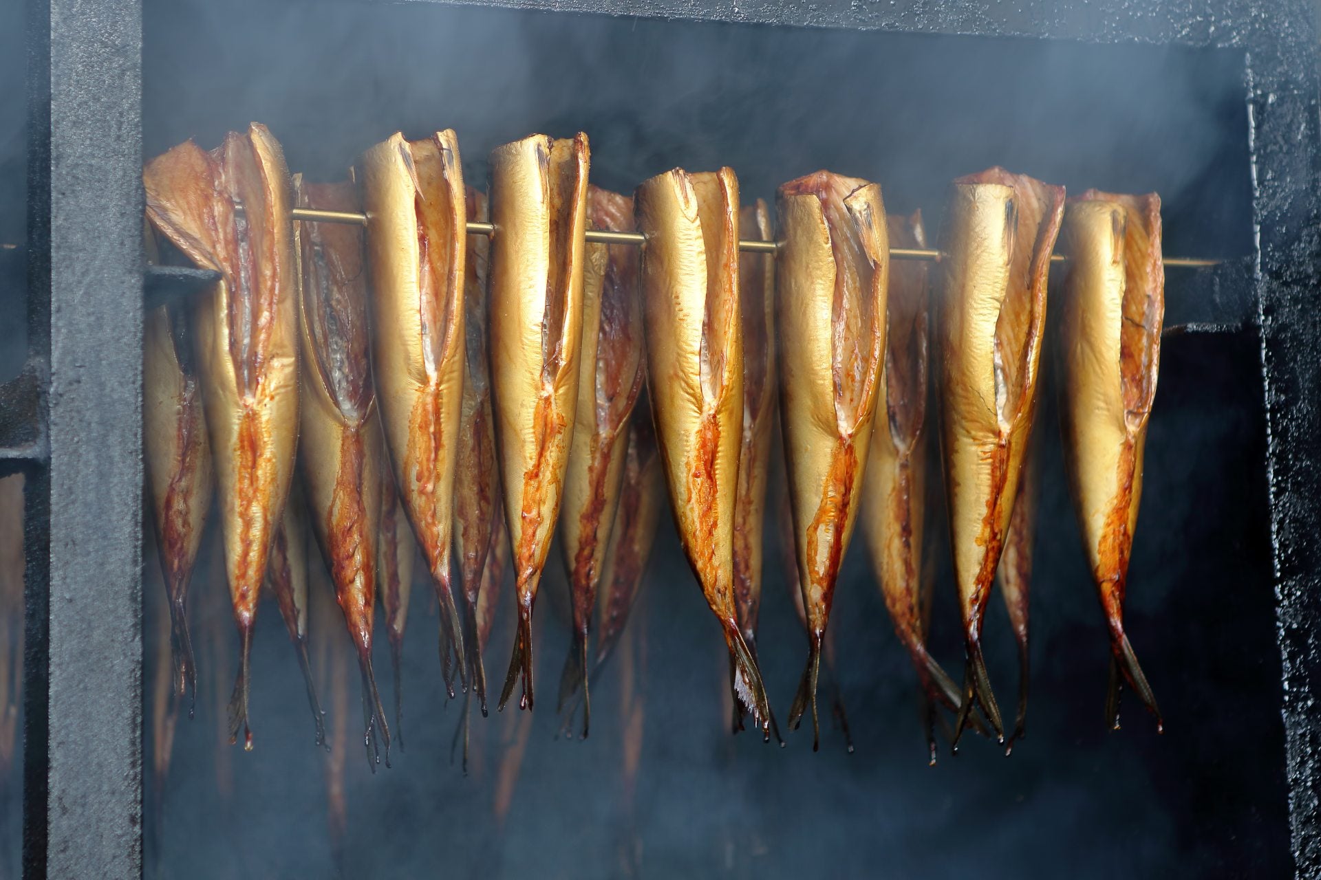 smoke-different-foods-how-to-smoke-fish