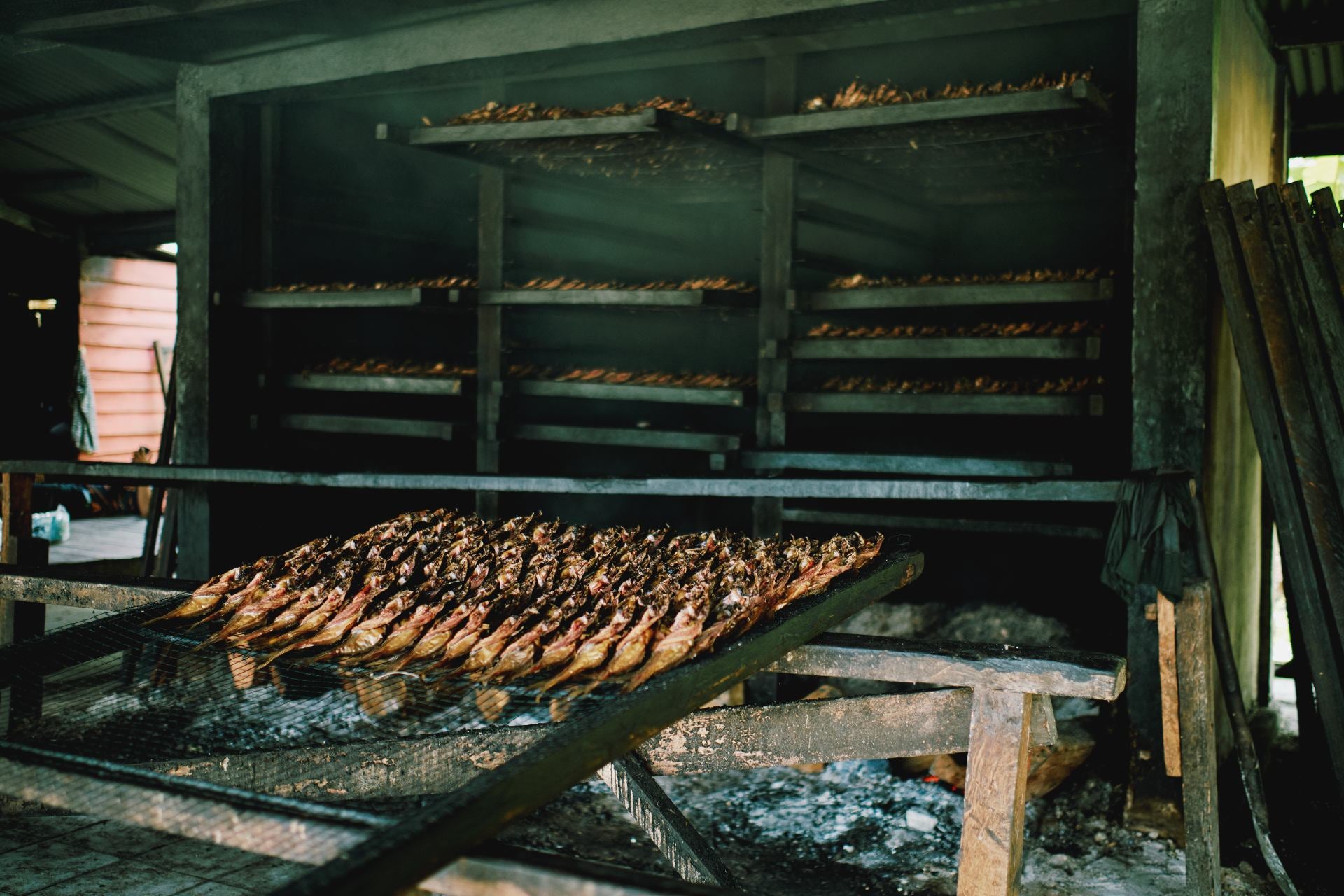 smoke-different-foods-types-of-smoker