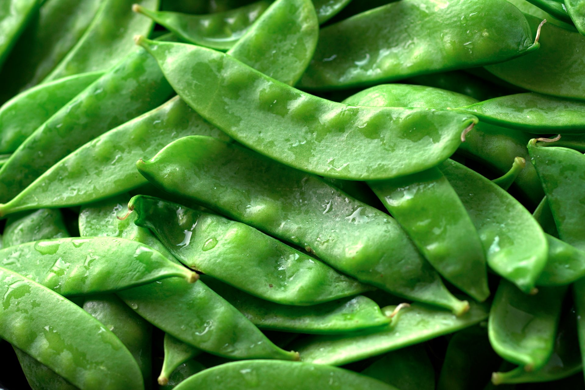 snow-peas-how-to-prep