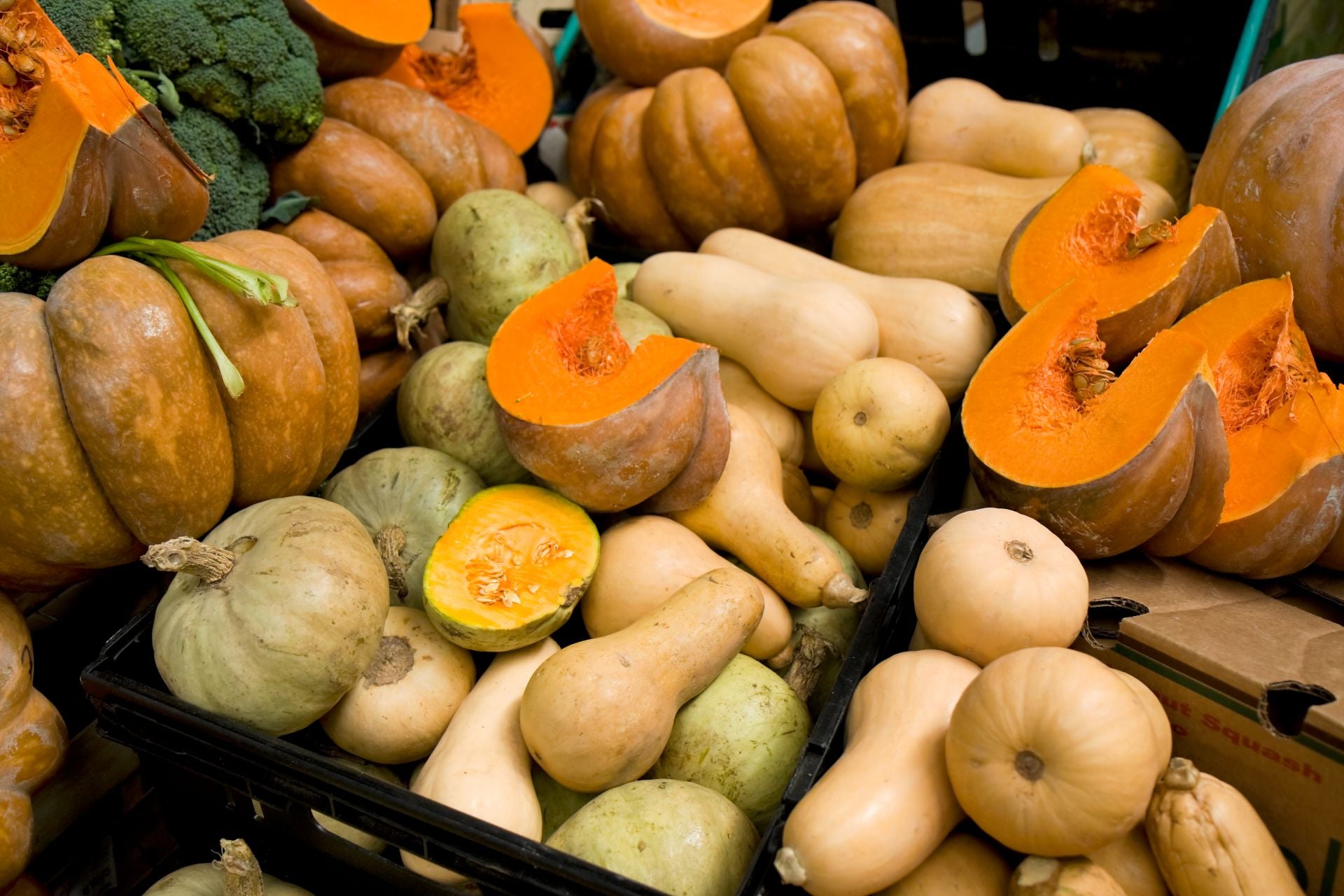 squash-peel-is-edible