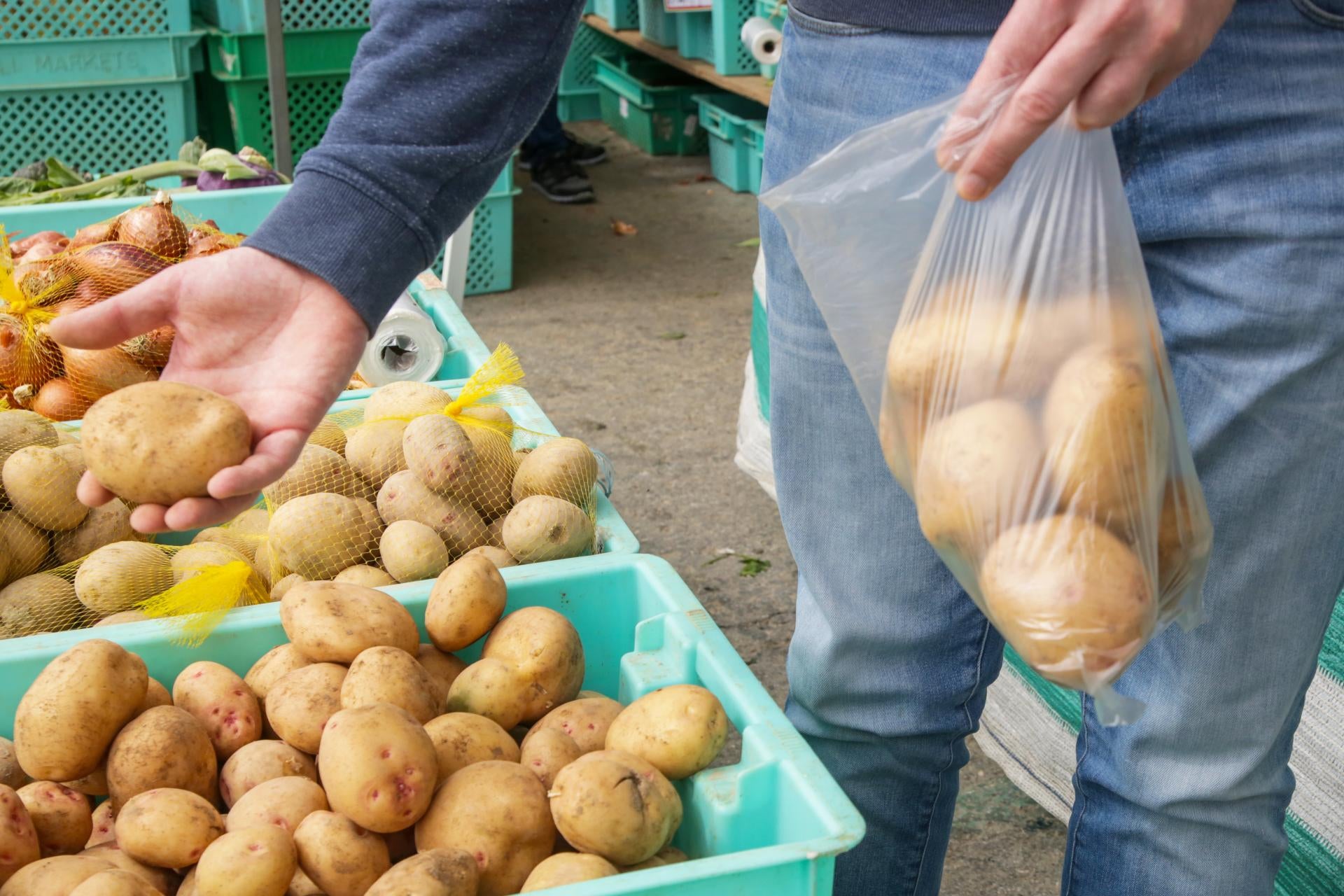 store-potatoes-no-plastic-bag
