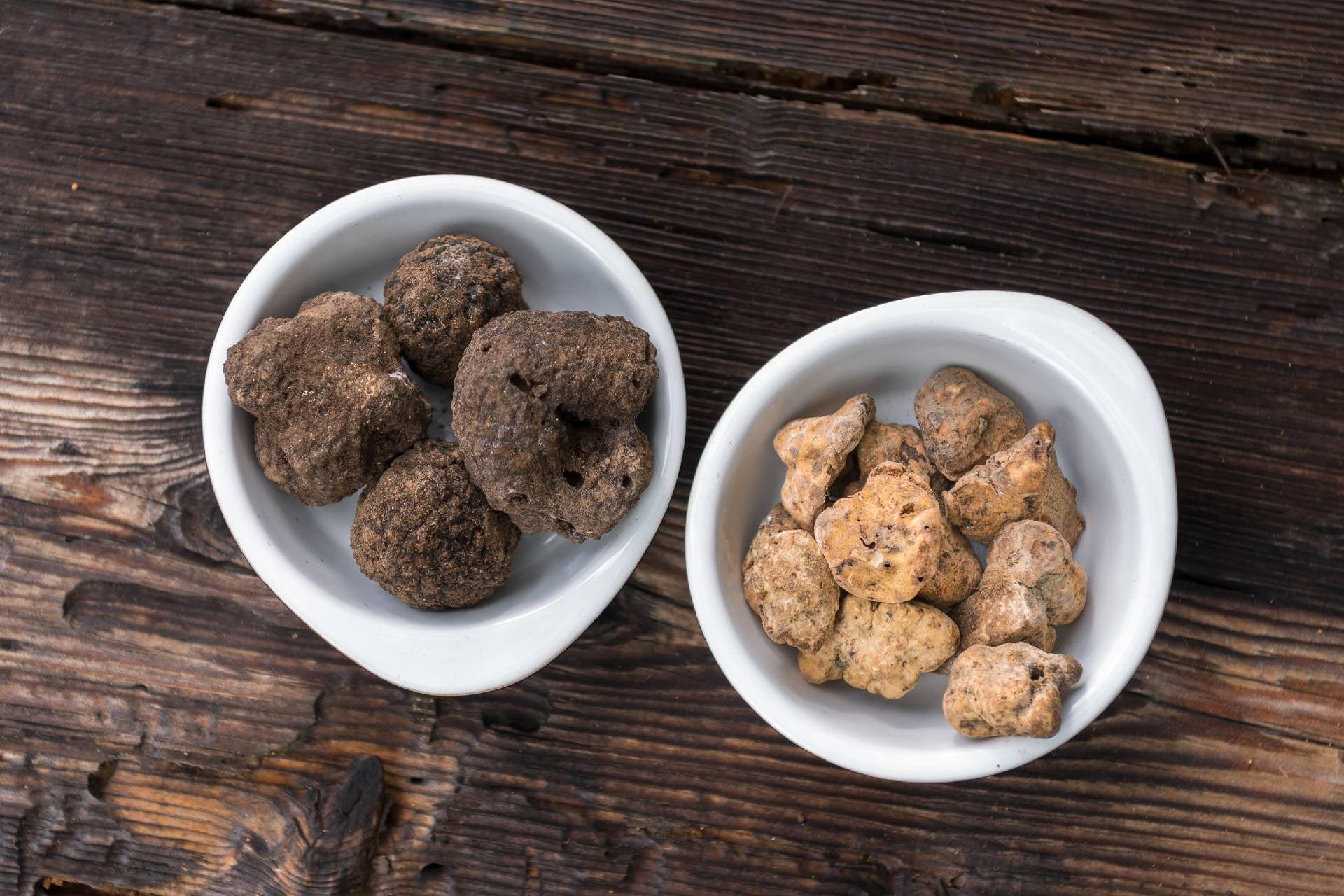 truffle-oil-black-vs-white