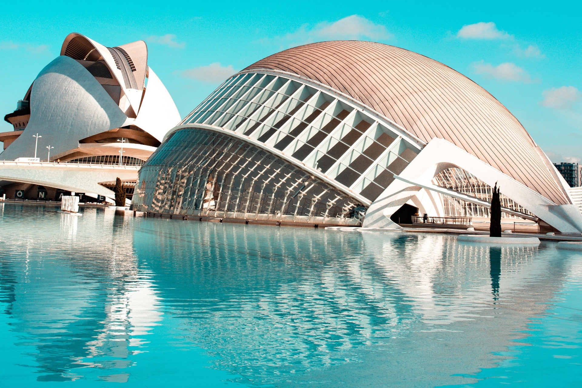 City of Arts and Sciences, Valencia, Spain
