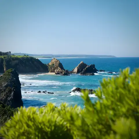 Bermagui