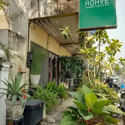 Agave Vietnamese Cuisine &amp; Cafe