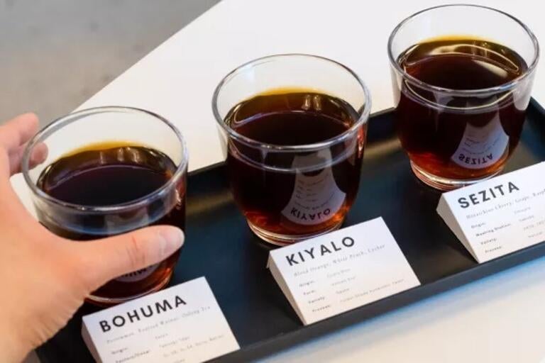 Coffee flight at Paradigm Spark in Calgary.