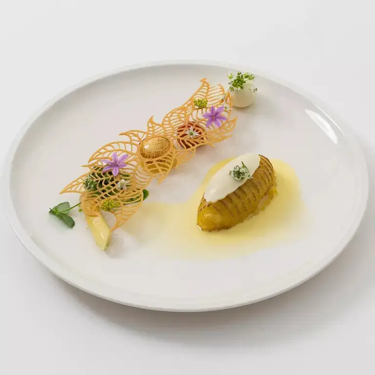 Bocuse d'Or 2022: Iceland.  Courtesy of Bocuse D’Or